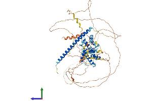 Protein Structure (PS) image for RALBP1 Associated Eps Domain Containing Protein 2 (REPS2) (AA 1-660) protein (His tag) (ABIN7551262)
