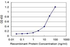 Detection limit for recombinant GST tagged AKT2 is approximately 1ng/ml as a capture antibody. (AKT2 Antikörper  (AA 100-189))