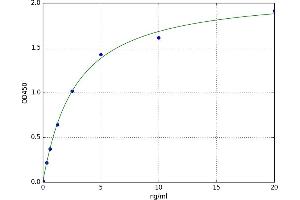 A typical standard curve