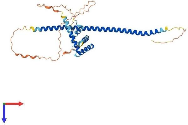 NAIF1 Protein (AA 1-327) (His tag)