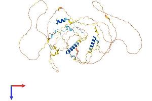 C1orf116 Protein (AA 1-601) (His tag)