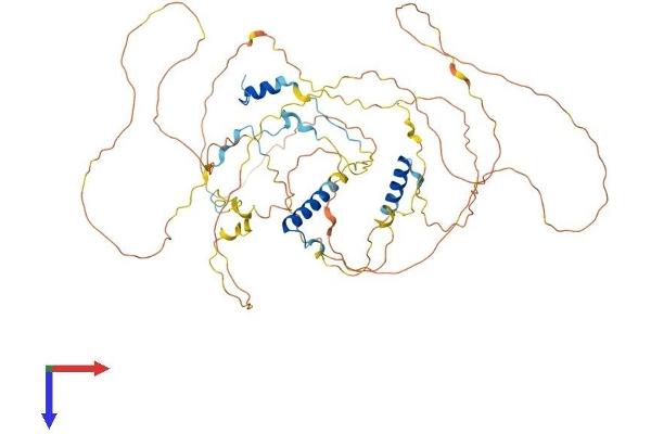 C1orf116 Protein (AA 1-601) (His tag)