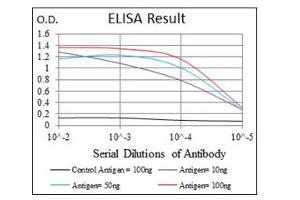 ELISA image for anti-Fibronectin antibody (ABIN1107235) (Fibronectin Antikörper)