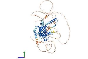 Protein Structure (PS) image for Tumor Protein P73 (TP73) (AA 1-636) protein (His tag) (ABIN7550486)