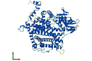 Protein Structure (PS) image for Acyl-CoA Oxidase 2, Branched Chain (Acox2) (AA 1-681) protein (His tag) (ABIN7551830)