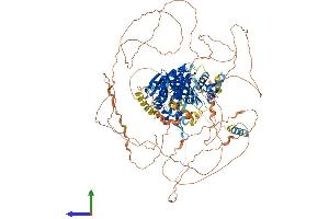 AlphaFold protein structure predicition of Human Recombinant DENND2B Protein, UniprotID P78524
