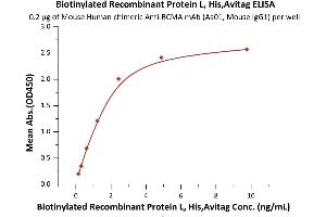 ELISA image for Protein L (AA 106-470) (Active) protein (His tag,AVI tag,Biotin) (ABIN7013589)