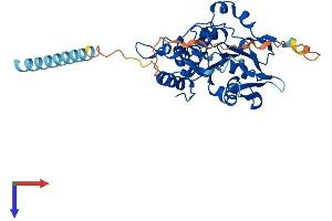 HS3ST5 Protein (AA 1-346) (His tag)