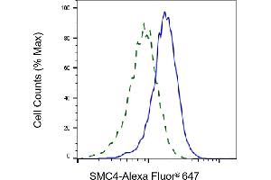 Validation of SMC4 knockdown using flow cytometry. (Rekombinanter SMC4 Antikörper)