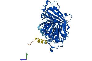 Protein Structure (PS) image for GDP Dissociation Inhibitor 1 (GDI1) (AA 1-447) protein (His tag) (ABIN7563359)