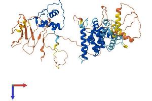 TR4 Protein (AA 1-596) (His tag)