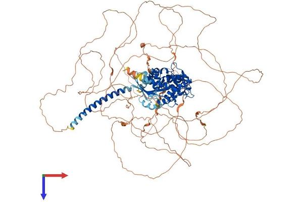 GNAS Protein (AA 1-1133) (His tag)