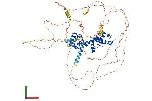 Protein Structure (PS) image for V-Myb Myeloblastosis Viral Oncogene Homolog (Avian) (MYB) (AA 1-640) protein (His tag) (ABIN7549656)