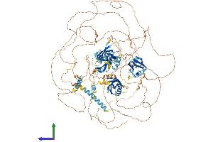 Protein Structure (PS) image for Par-3 Partitioning Defective 3 Homolog B (PARD3B) (AA 1-1205) protein (His tag) (ABIN7554884)