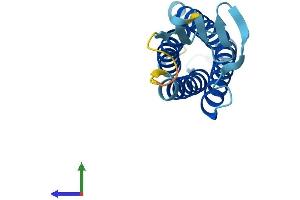 AlphaFold protein structure predicition of Mouse Recombinant Emp1 Protein, UniprotID P47801
