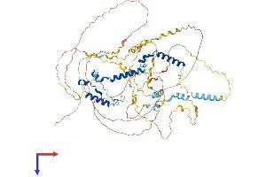 PHACTR4 Protein (AA 1-694) (His tag)