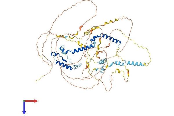 PHACTR4 Protein (AA 1-694) (His tag)