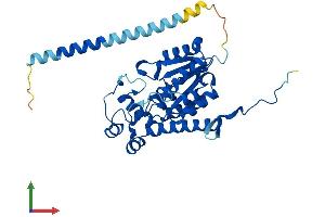 Protein Structure (PS) image for Heparan Sulfate 2-O-Sulfotransferase 1 (HS2ST1) (AA 1-356) protein (His tag) (ABIN7559733)