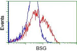 HEK293T cells transfected with either RC219464 overexpress plasmid (Red) or empty vector control plasmid (Blue) were immunostained by anti-BSG antibody (ABIN2452825), and then analyzed by flow cytometry. (CD147 Antikörper)