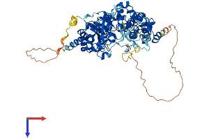 DUS3L Protein (AA 1-637) (His tag)