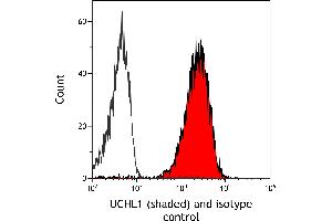 Flow Cytometry (FACS) image for anti-Ubiquitin Carboxyl-terminal Esterase L1 (Ubiquitin Thiolesterase) (UCHL1) (AA 50-100) antibody (ABIN7449527) (Rekombinanter UCHL1 Antikörper  (AA 50-100))