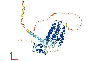 Protein Structure (PS) image for Nuclear Receptor Subfamily 5, Group A, Member 1 (NR5A1) (AA 1-461) protein (His tag) (ABIN7555648)