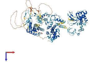 RNF31 Protein (AA 1-1066) (His tag)