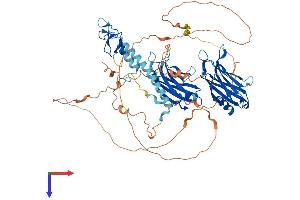 RPH3A Protein (AA 1-681) (His tag)