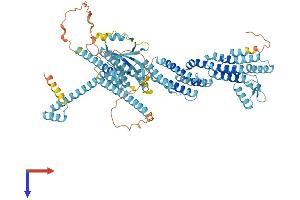 EXOC8 Protein (AA 1-725) (His tag)