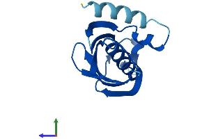 AlphaFold protein structure predicition of Mouse Recombinant Acot13 Protein, UniprotID Q9CQR4