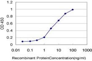 Detection limit for recombinant GST tagged CKS2 is approximately 0. (CKS2 Antikörper  (AA 1-79))