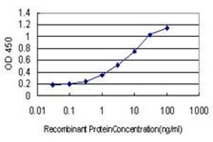 Detection limit for recombinant GST tagged HOXA7 is approximately 0. (HOXA7 Antikörper  (AA 58-112))