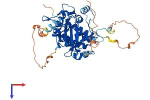 STRADA Protein (AA 1-431) (His tag)