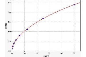 Typical standard curve (UGCG ELISA Kit)