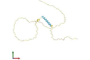 Protein Structure (PS) image for Transcription Elongation Factor A (SII)-Like 6 (TCEAL6) (AA 1-200) protein (His tag) (ABIN7544200)