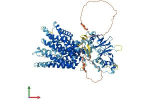 Protein Structure (PS) image for Chloride Channel, Voltage-Sensitive 7 (CLCN7) (AA 1-805) protein (His tag) (ABIN7553519)