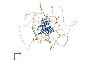 GAS2L2 Protein (AA 1-860) (His tag)