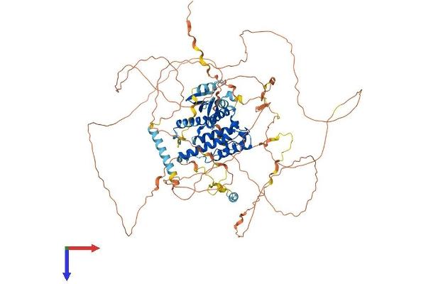 GAS2L2 Protein (AA 1-860) (His tag)