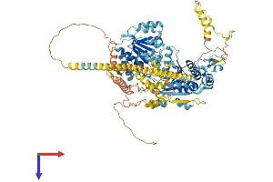 HELLS Protein (AA 1-821) (His tag)