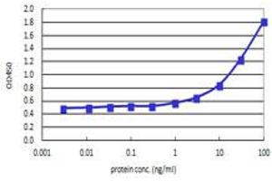 CLPS (Human) Matched Antibody Pair