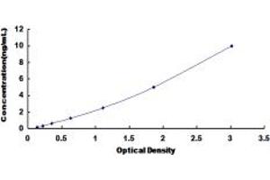 Typical standard curve (SPR ELISA Kit)