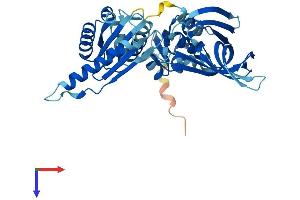 PELO Protein (AA 1-385) (His tag)