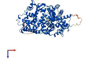 Protein Structure (PS) image for Membrane Metallo-Endopeptidase-Like 1 (MMEL1) (AA 1-779) protein (His tag) (ABIN7554565)