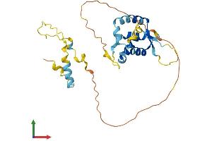 AlphaFold protein structure predicition of Mouse Recombinant Foxr1 Protein, UniprotID Q3UTB7