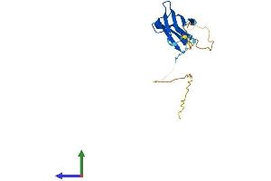 Protein Structure (PS) image for Heat Shock 27kDa Protein Family, Member 7 (Cardiovascular) (HSPB7) (AA 1-169) protein (His tag) (ABIN7563170)