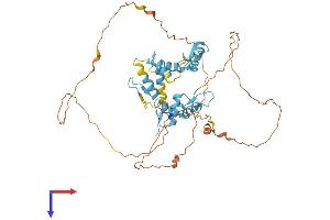 PLAGL1 Protein (AA 1-463) (His tag)