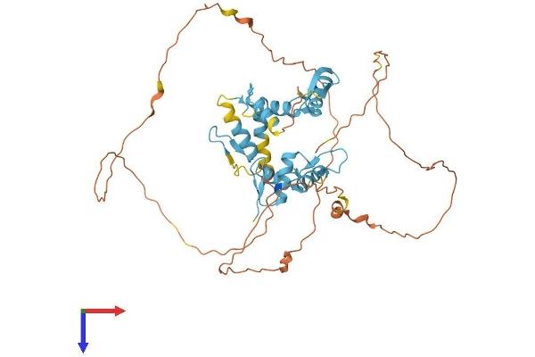 PLAGL1 Protein (AA 1-463) (His tag)