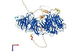 LLGL2 Protein (AA 1-1020) (His tag)