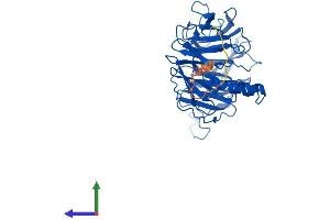 Protein Structure (PS) image for Excision Repair Cross-Complementing Rodent Repair Deficiency, Complementation Group 8 (ERCC8) (AA 1-397) protein (His tag) (ABIN7559303)