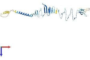 SGCZ Protein (AA 1-311) (His tag)
